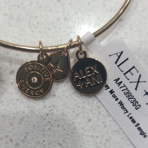 NWT Alex and Ani Pray More Worry Less Gold Bangle Bracelet - Picture 4 of 6